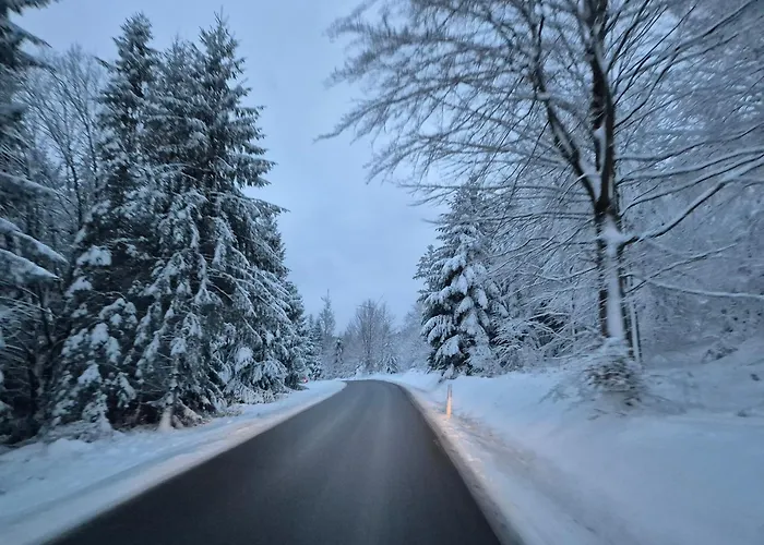 Hotel Schoenblick 3*